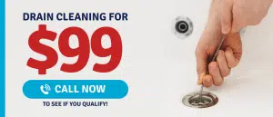 $99 Drain Cleaning IN KING AND PIERCE COUNTY