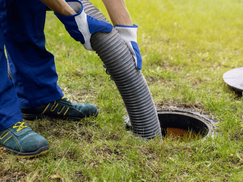 Drain Services Bellevue WA