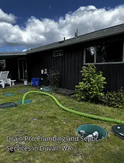 Drain Pro Plumbing and Septic Services in Duvall, WA