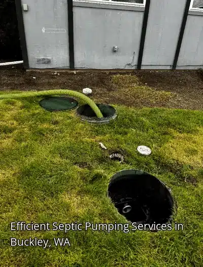 Efficient Septic Pumping Services in Buckley, WA