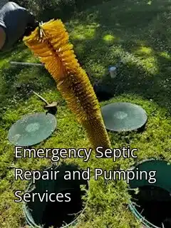 Emergency Septic Repair and Pumping Services