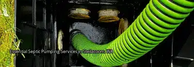 Essential Septic Pumping Services in Steilacoom, WA