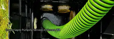 Expert Septic Pumping Services in Fircrest, WA