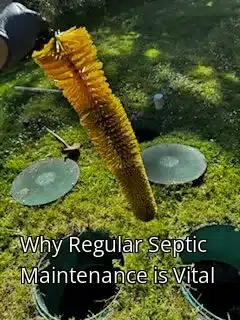 Why Regular Septic Maintenance is Vital