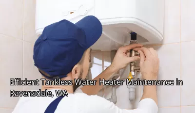 Efficient Tankless Water Heater Maintenance in Ravensdale, WA Efficient Tankless Water Heater Maintenance in Ravensdale, WA