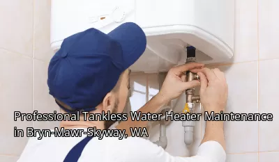 Professional Tankless Water Heater Maintenance in Bryn-Mawr-Skyway, WA Professional Tankless Water Heater Maintenance in Bryn-Mawr-Skyway, WA