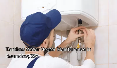Tankless Water Heater Maintenance in Enumclaw, WA Tankless Water Heater Maintenance in Enumclaw, WA