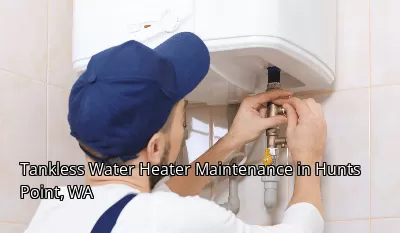 Tankless Water Heater Maintenance in Hunts Point, WA Tankless Water Heater Maintenance in Hunts Point, WA