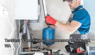 Tankless Water Heater Maintenance in Kirkland, WA