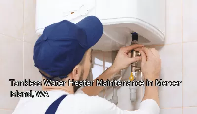 Tankless Water Heater Maintenance in Mercer Island, WA Tankless Water Heater Maintenance in Mercer Island, WA