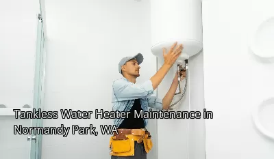 Tankless Water Heater Maintenance in Normandy Park, WA Tankless Water Heater Maintenance in Normandy Park, WA
