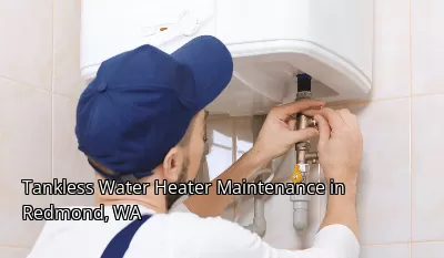 Tankless Water Heater Maintenance in Redmond, WA Tankless Water Heater Maintenance in Redmond, WA