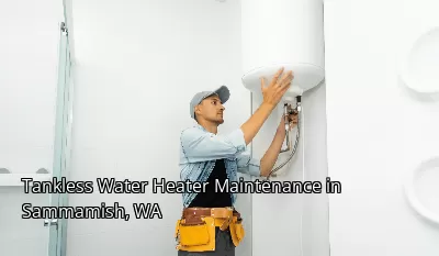 Tankless Water Heater Maintenance in Sammamish, WA Tankless Water Heater Maintenance in Sammamish, WA
