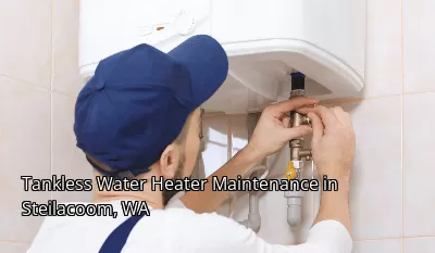 Tankless Water Heater Maintenance in Steilacoom, WA Tankless Water Heater Maintenance in Steilacoom, WA