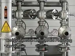 Comprehensive Commercial Plumbing Services Comprehensive Commercial Plumbing Services
