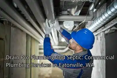 Drain Pro Plumbing and Septic: Commercial Plumbing Services in Eatonville, WA Drain Pro Plumbing and Septic: Commercial Plumbing Services in Eatonville, WA