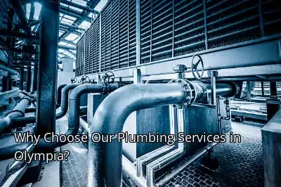 Why Choose Our Plumbing Services in Olympia? Why Choose Our Plumbing Services in Olympia?
