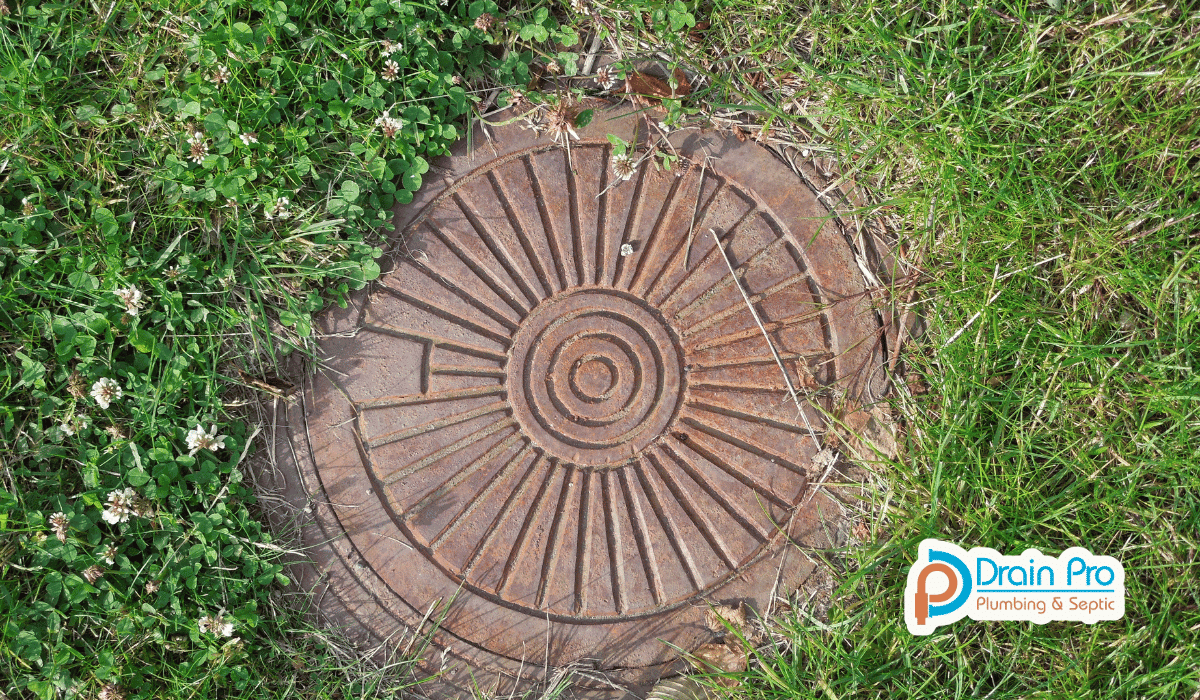Bellevue Sewer