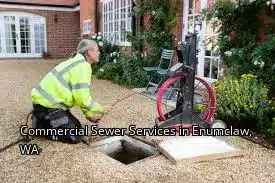Commercial Sewer Services in Enumclaw, WA
