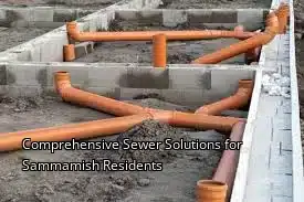 Comprehensive Sewer Solutions for Sammamish Residents Comprehensive Sewer Solutions for Sammamish Residents