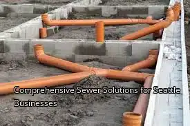 Comprehensive Sewer Solutions for Seattle Businesses