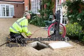 Expert Commercial Sewer Services in Algona, WA