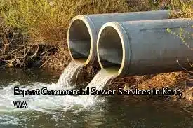Expert Commercial Sewer Services in Kent, WA Expert Commercial Sewer Services in Kent, WA