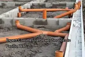 Expert Commercial Sewer Services in Pacific, WA Expert Commercial Sewer Services in Pacific, WA
