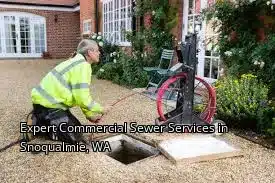 Expert Commercial Sewer Services in Snoqualmie, WA Expert Commercial Sewer Services in Snoqualmie, WA