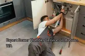 Expert Sewer Plumber Services in Auburn, WA