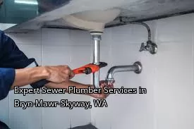 Expert Sewer Plumber Services in Bryn-Mawr-Skyway, WA Expert Sewer Plumber Services in Bryn-Mawr-Skyway, WA