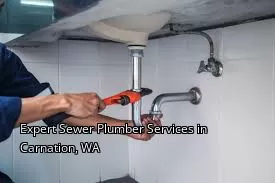 Expert Sewer Plumber Services in Carnation, WA Expert Sewer Plumber Services in Carnation, WA