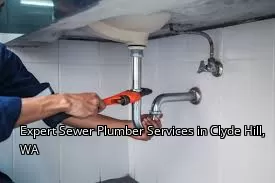 Expert Sewer Plumber Services in Clyde Hill, WA