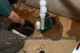 Expert Sewer Plumber Services in Fremont, WA