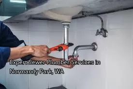 Expert Sewer Plumber Services in Normandy Park, WA