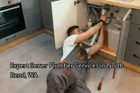 Expert Sewer Plumber Services in North Bend, WA