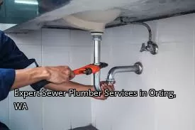 Expert Sewer Plumber Services in Orting, WA