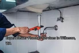 Expert Sewer Plumber Services in Wilkeson, WA Expert Sewer Plumber Services in Wilkeson, WA