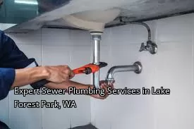 Expert Sewer Plumbing Services in Lake Forest Park, WA Expert Sewer Plumbing Services in Lake Forest Park, WA