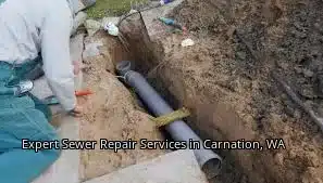 Expert Sewer Repair Services in Carnation, WA Expert Sewer Repair Services in Carnation, WA