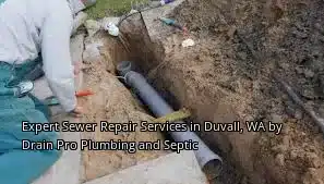Expert Sewer Repair Services in Duvall, WA by Drain Pro Plumbing and Septic Expert Sewer Repair Services in Duvall, WA by Drain Pro Plumbing and Septic