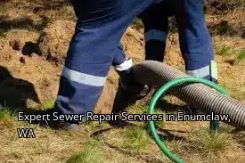 Expert Sewer Repair Services in Enumclaw, WA Expert Sewer Repair Services in Enumclaw, WA