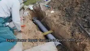 Expert Sewer Repair Services in North Bend, WA Expert Sewer Repair Services in North Bend, WA