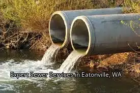 Expert Sewer Services in Eatonville, WA Expert Sewer Services in Eatonville, WA