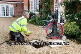 Expert Sewer Services in Wilkeson, WA Expert Sewer Services in Wilkeson, WA
