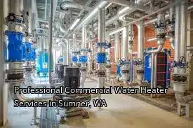 Professional Commercial Water Heater Services in Sumner, WA Professional Commercial Water Heater Services in Sumner, WA