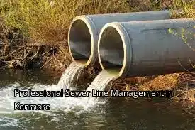 Professional Sewer Line Management in Kenmore Professional Sewer Line Management in Kenmore
