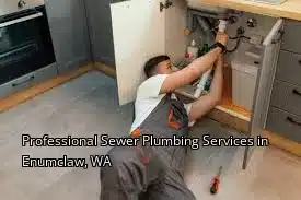 Professional Sewer Plumbing Services in Enumclaw, WA