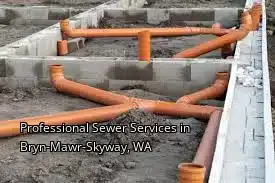 Professional Sewer Services in Bryn-Mawr-Skyway, WA Professional Sewer Services in Bryn-Mawr-Skyway, WA