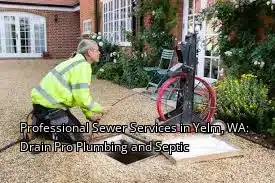 Professional Sewer Services in Yelm, WA: Drain Pro Plumbing and Septic Professional Sewer Services in Yelm, WA: Drain Pro Plumbing and Septic